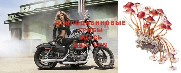 мескалин Беломорск