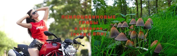 мескалин Беломорск