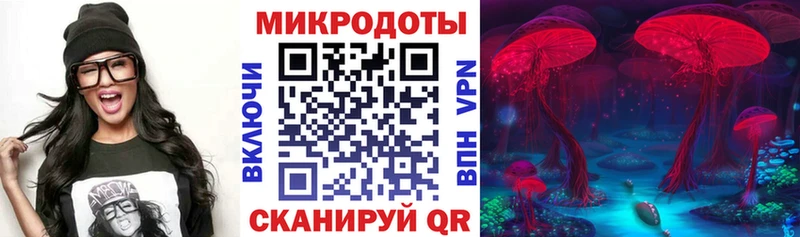 Псилоцибиновые грибы мицелий  мега ссылки  Ставрополь 